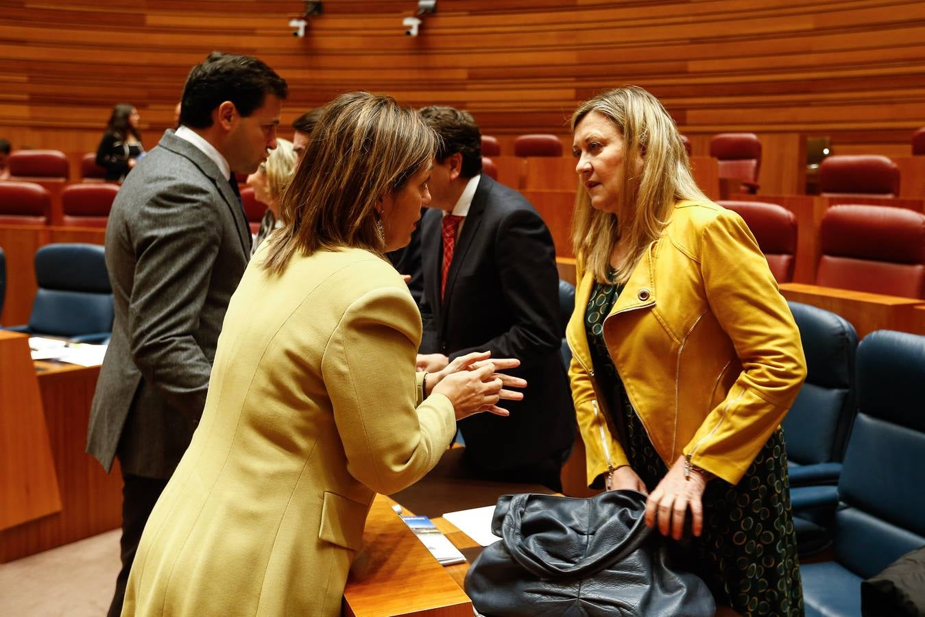 Pleno en las Cortes de Castilla y León