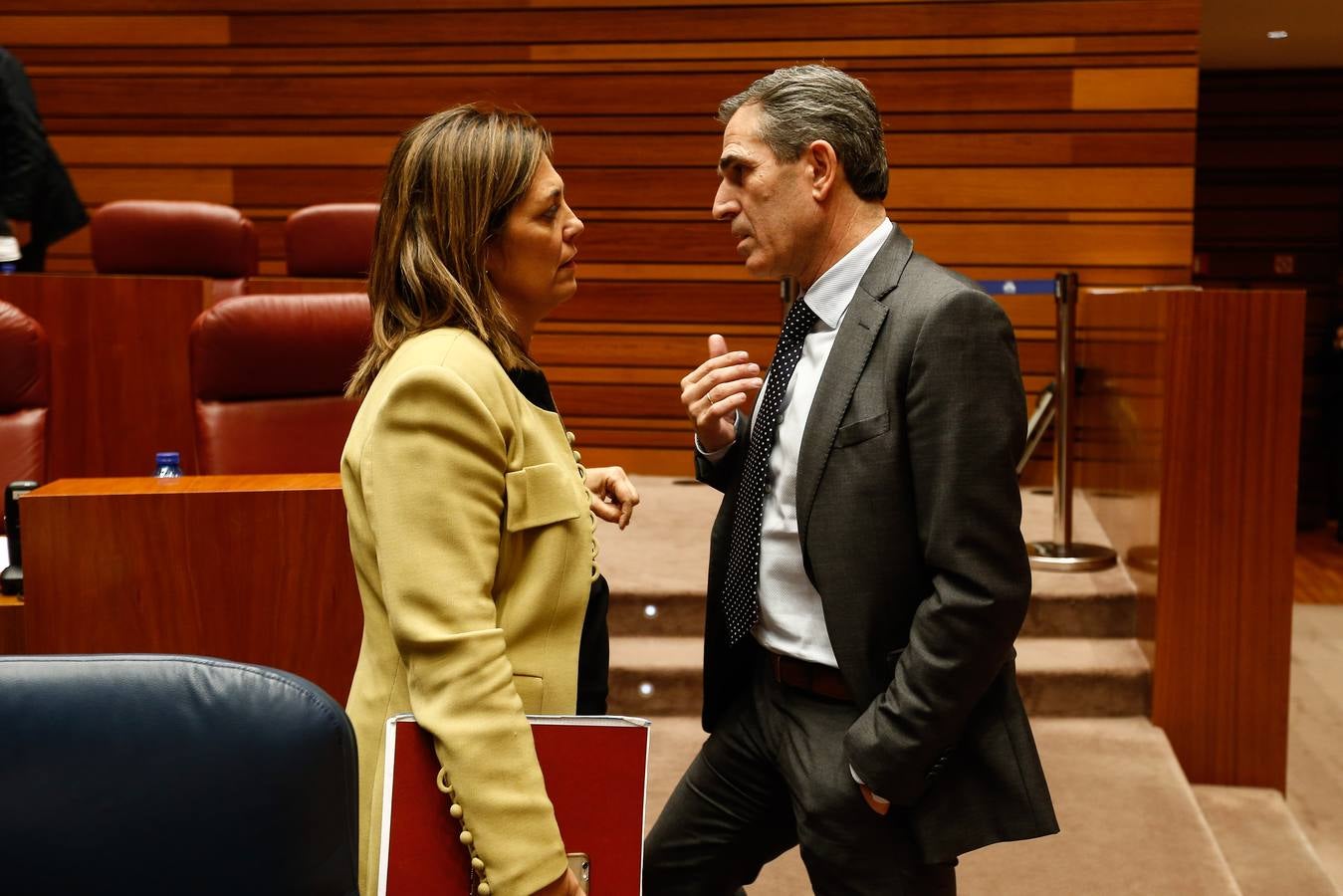 Pleno en las Cortes de Castilla y León