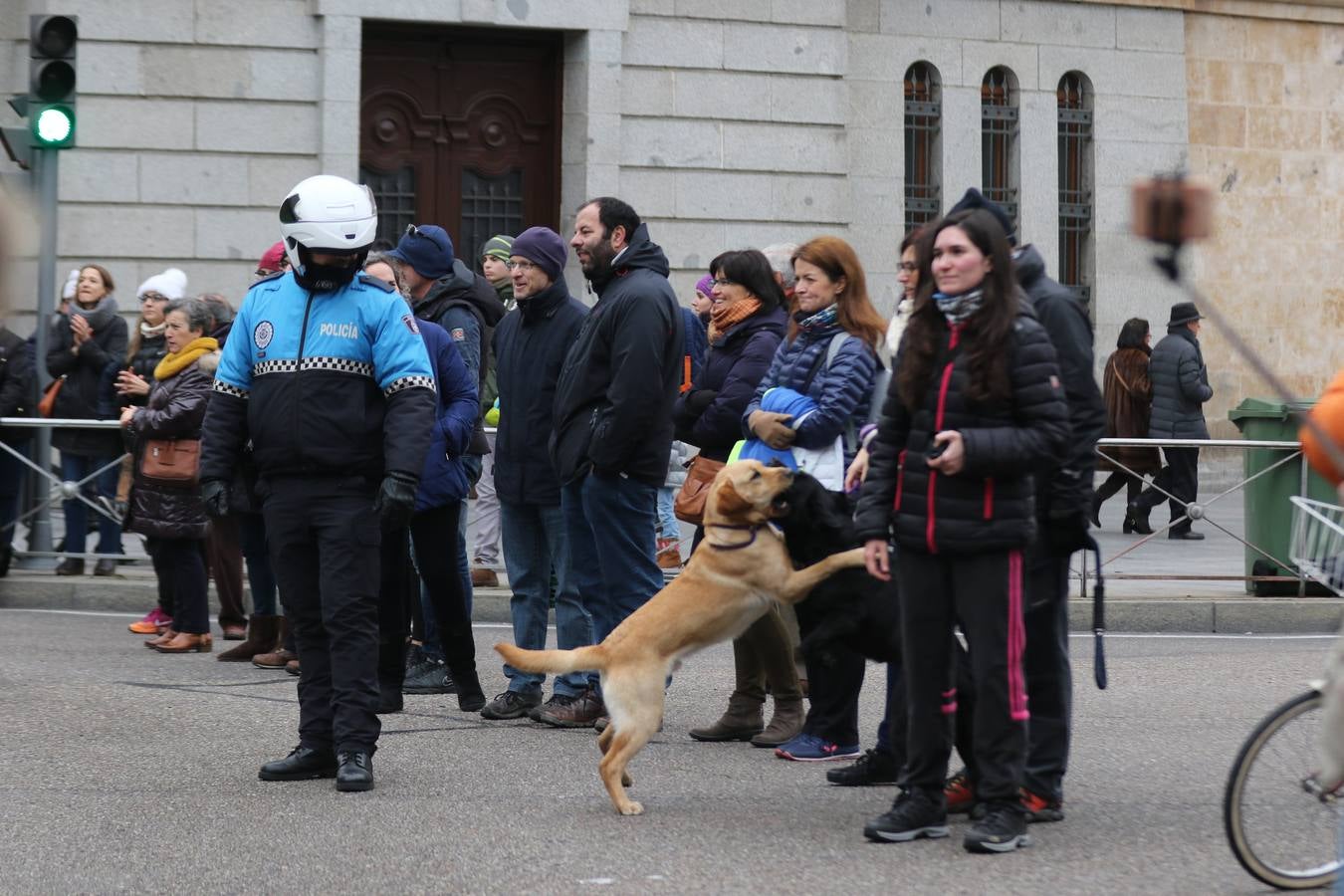 V San Silvestre Popular Ciudad de Valladolid (6/6)