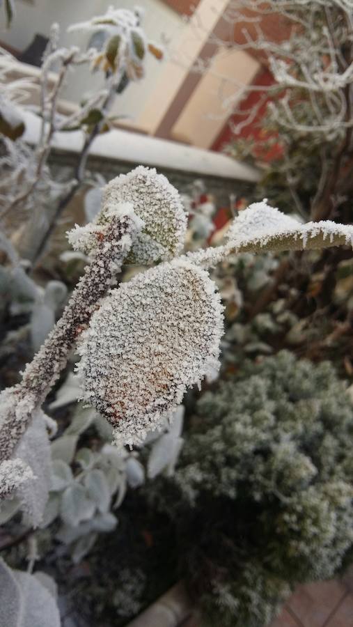 Helada en Medina del Campo