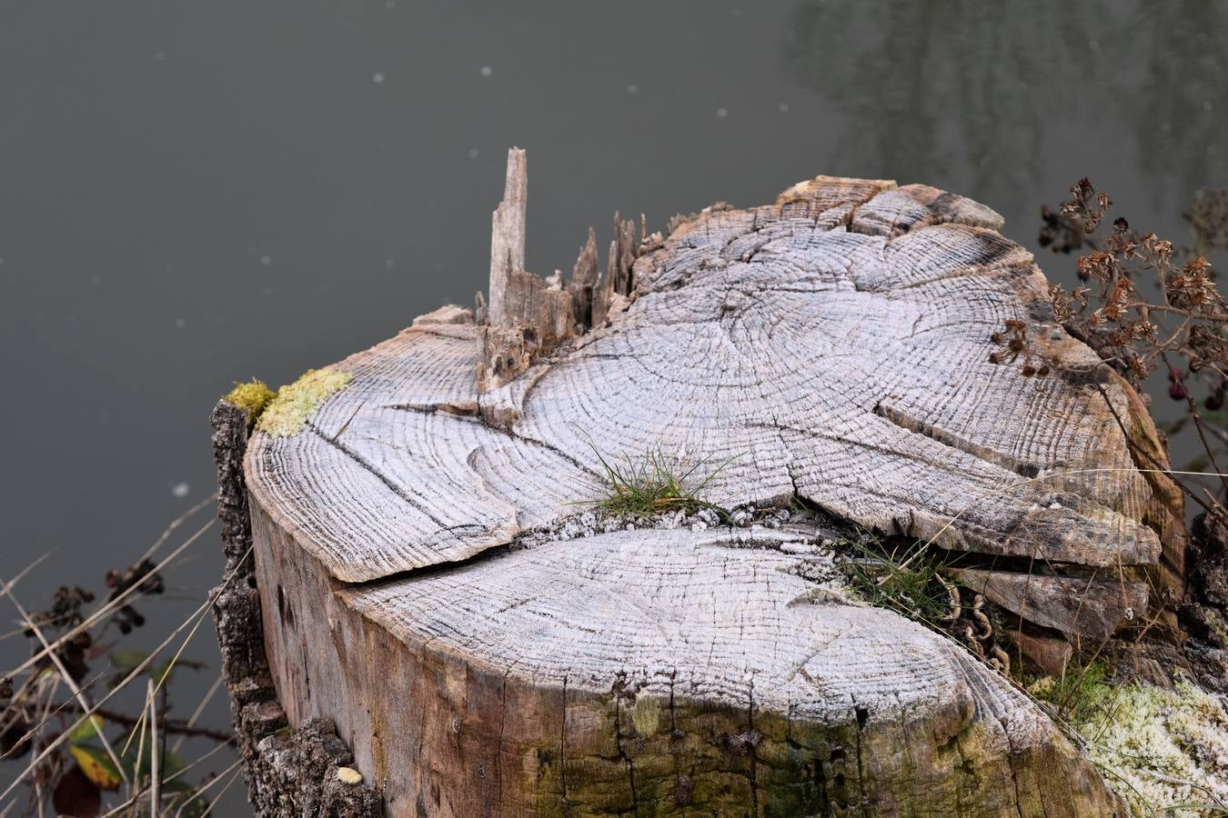 Helada en Aguilar de Campoo