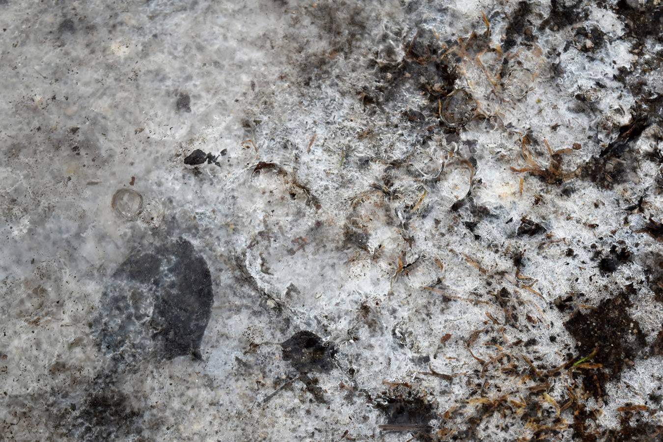 Helada en Aguilar de Campoo