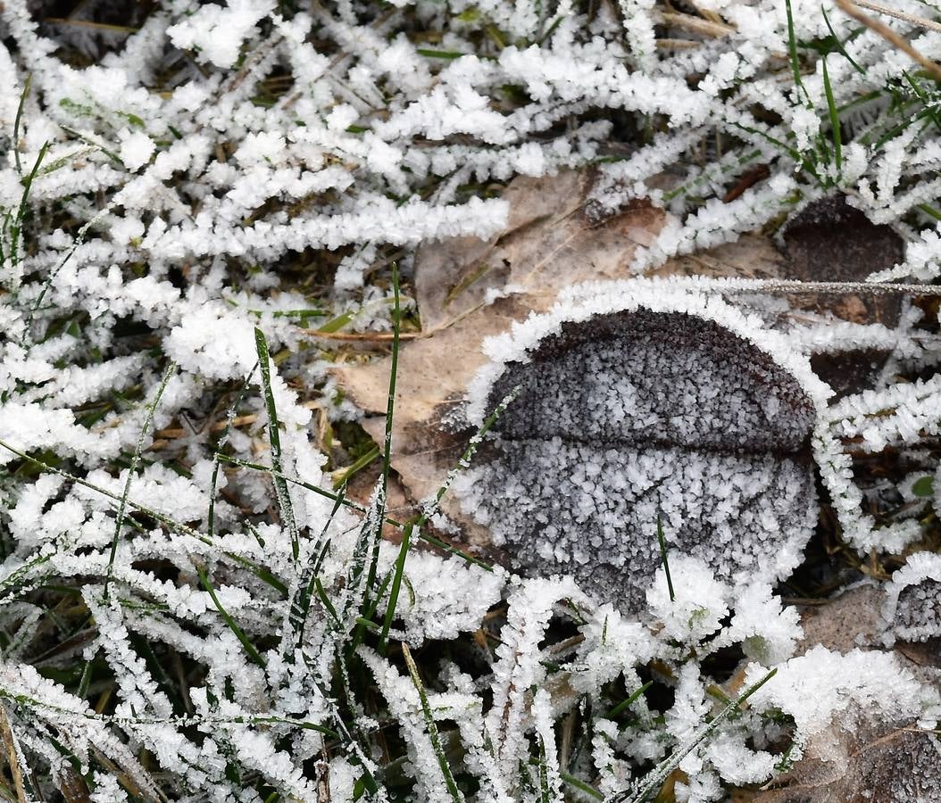 Helada en Aguilar de Campoo