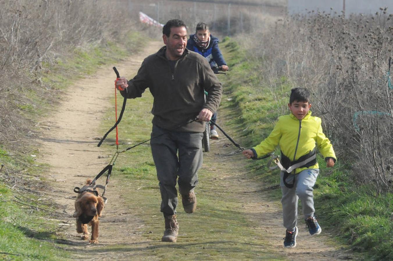Carrera de mushing &#039;Villa de La Seca&#039;