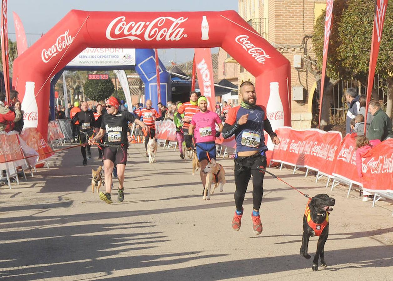 Carrera de mushing &#039;Villa de La Seca&#039;