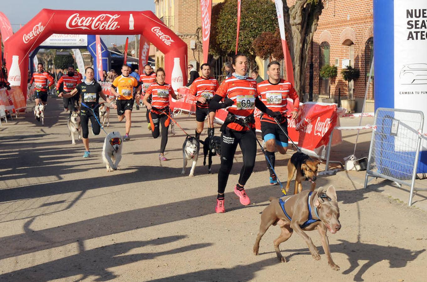 Carrera de mushing &#039;Villa de La Seca&#039;