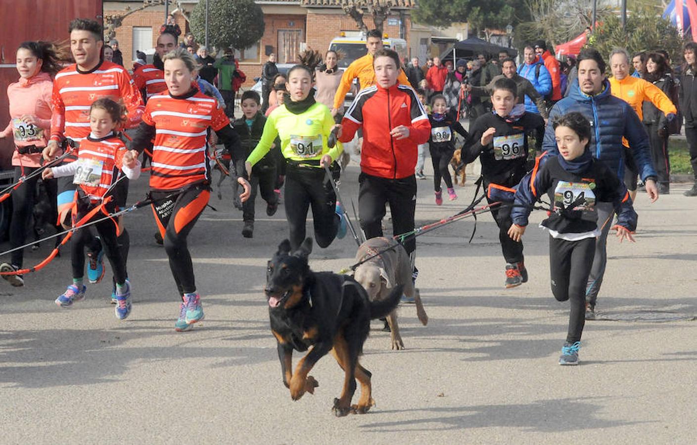 Carrera de mushing &#039;Villa de La Seca&#039;