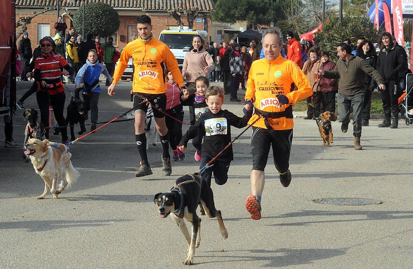 Carrera de mushing &#039;Villa de La Seca&#039;