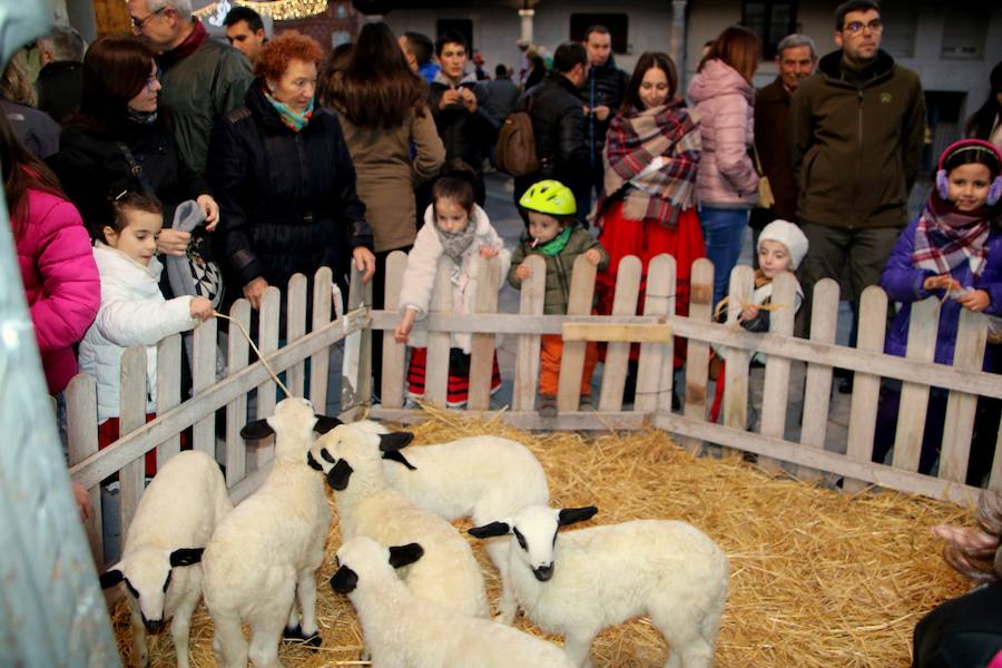 Los Reyes Magos llegan a Baltanás