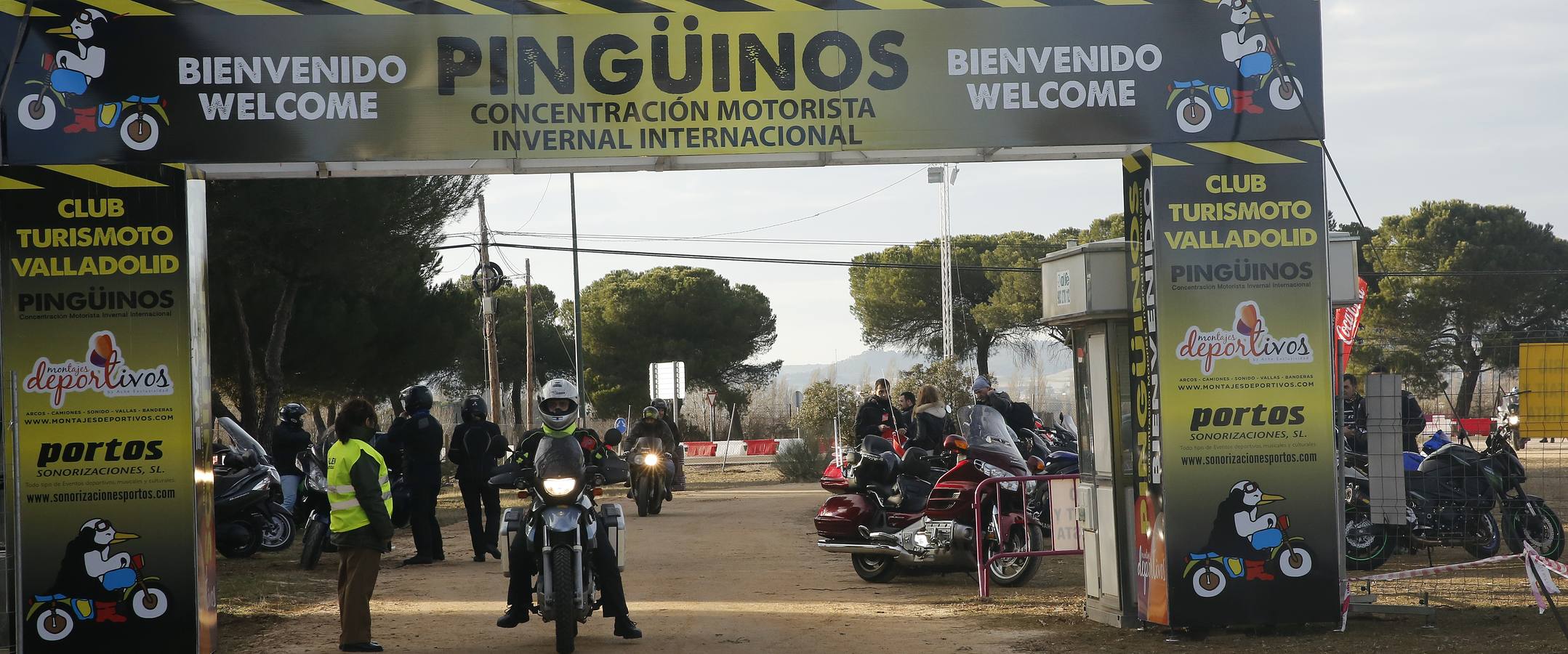 Los primeros Pingüinos llegan a Valladolid