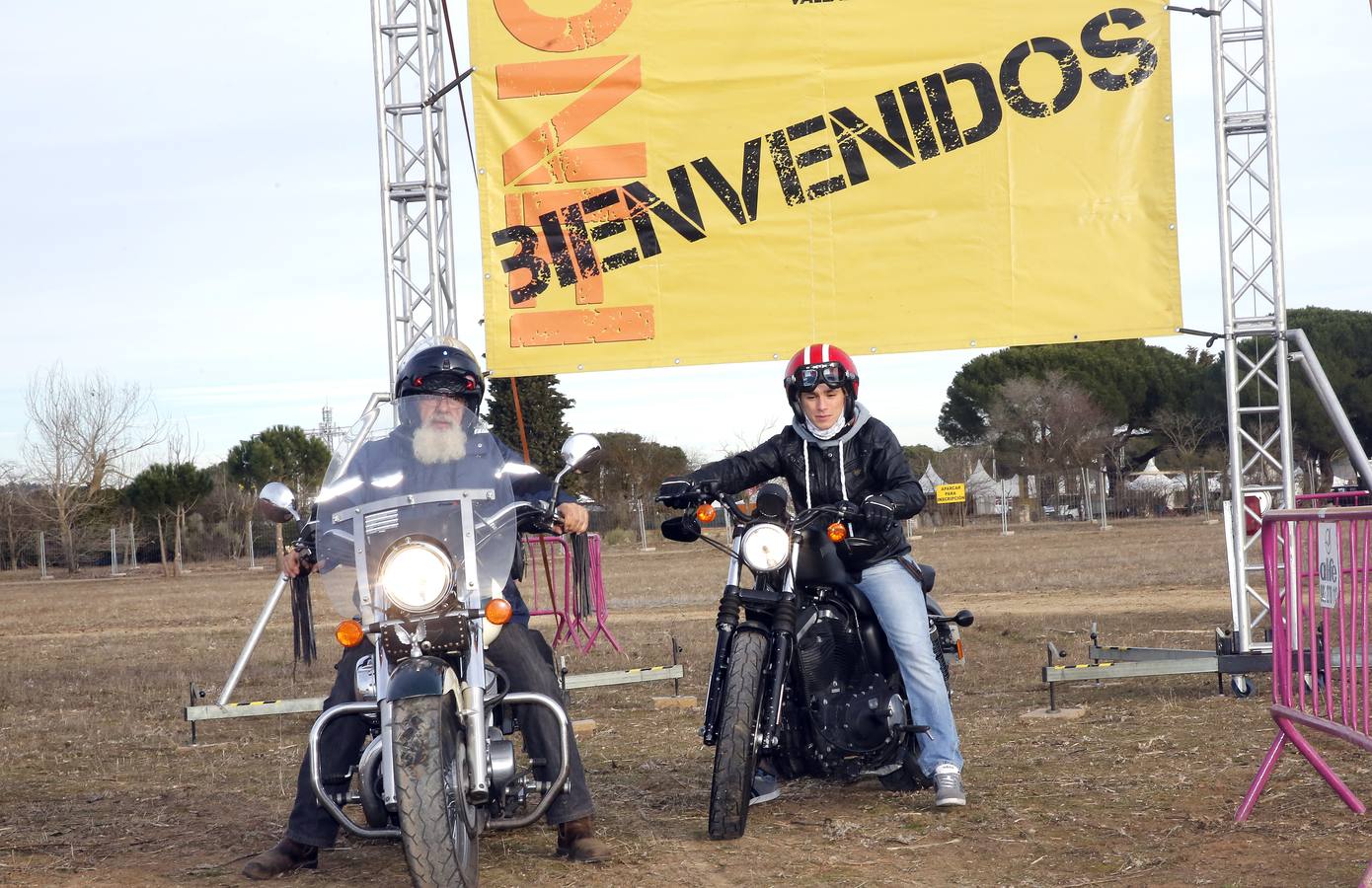 Los primeros Pingüinos llegan a Valladolid