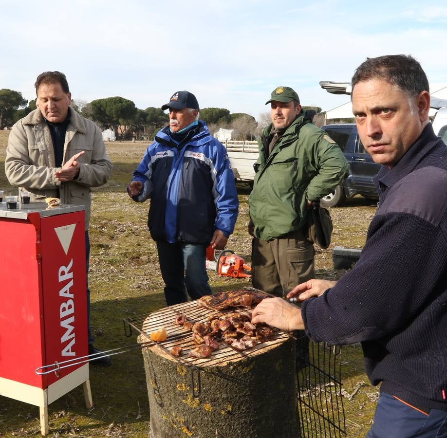 Los primeros Pingüinos llegan a Valladolid