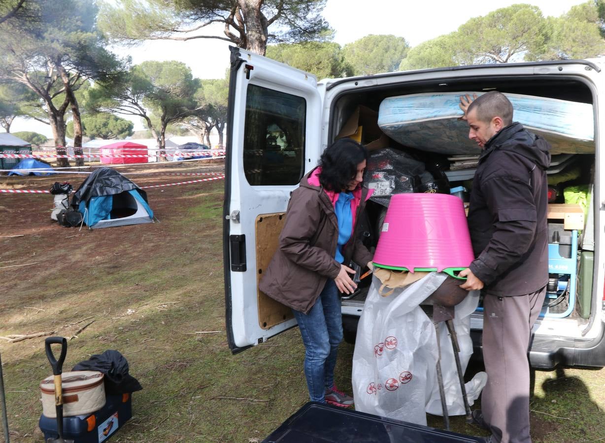 Los primeros Pingüinos llegan a Valladolid