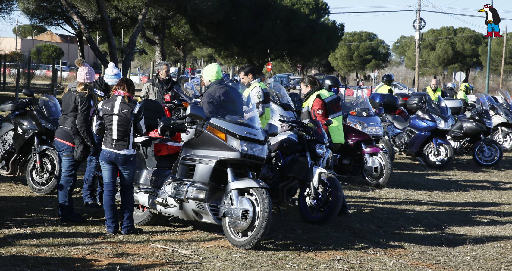 La antigua Hípica Militar se llena de Pingüinos