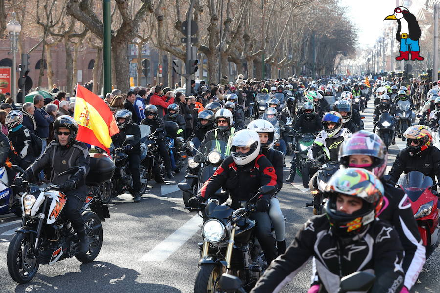 Ambiente en el desfile de banderas de Pingüinos en Valladolid (Parte 3)