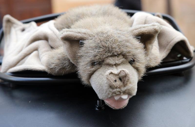 Los moteros de La Leyenda Continúa inundan con sus motos Sepúlveda (Segovia)