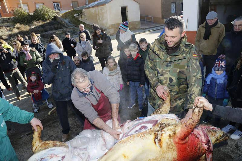 Matanza y fiesta de San Antón en Fuentes de Nava (Palencia)