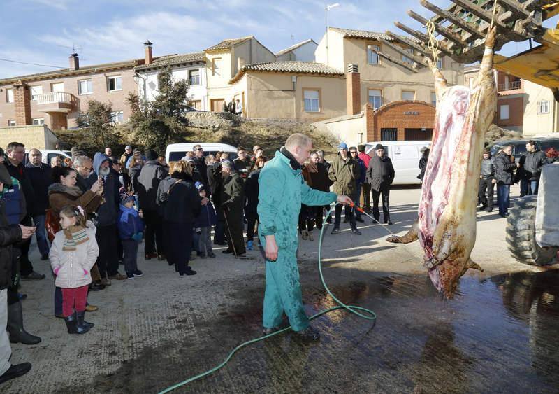 Matanza y fiesta de San Antón en Fuentes de Nava (Palencia)