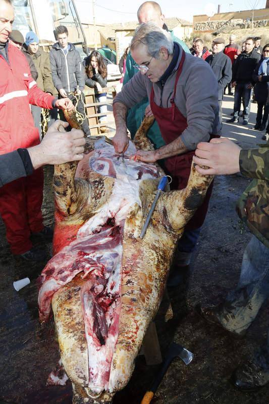 Matanza y fiesta de San Antón en Fuentes de Nava (Palencia)