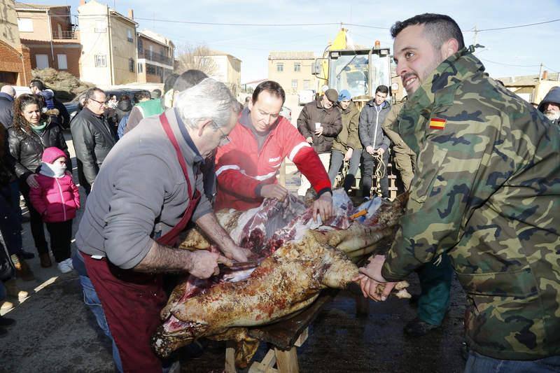 Matanza y fiesta de San Antón en Fuentes de Nava (Palencia)