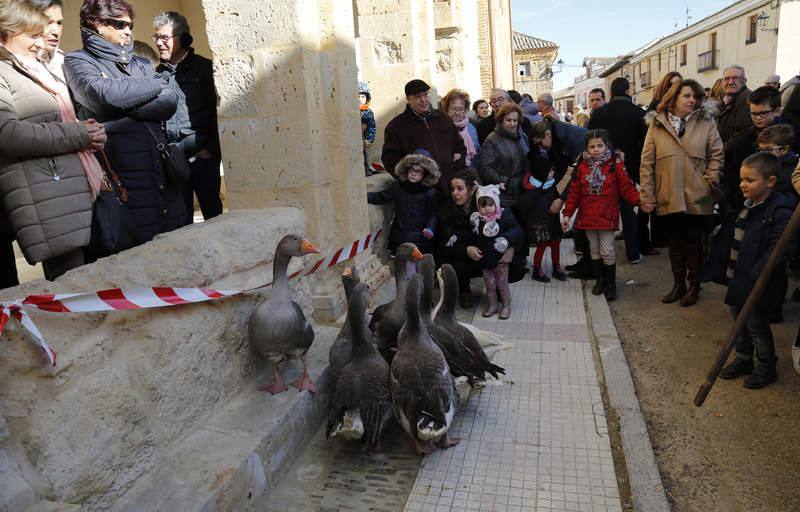 Matanza y fiesta de San Antón en Fuentes de Nava (Palencia)