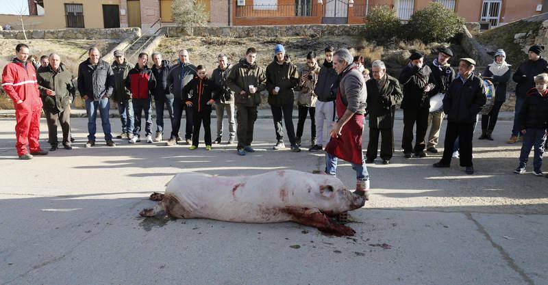 Matanza y fiesta de San Antón en Fuentes de Nava (Palencia)