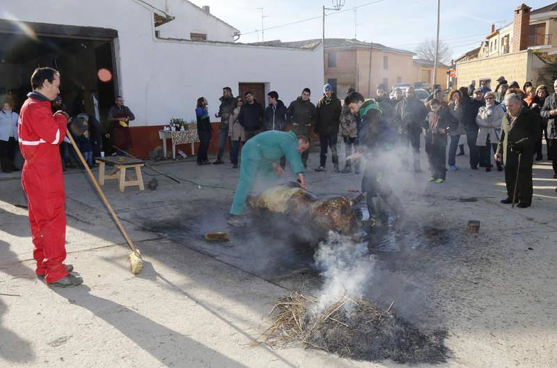 Matanza y fiesta de San Antón en Fuentes de Nava (Palencia)