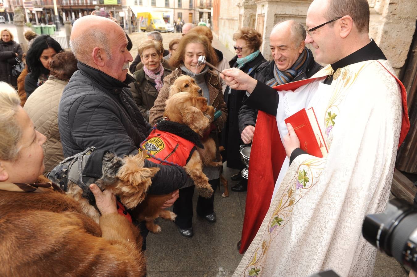 Las mascotas reciben la bendición de San Antón en la Colegiata de Medina del Campo
