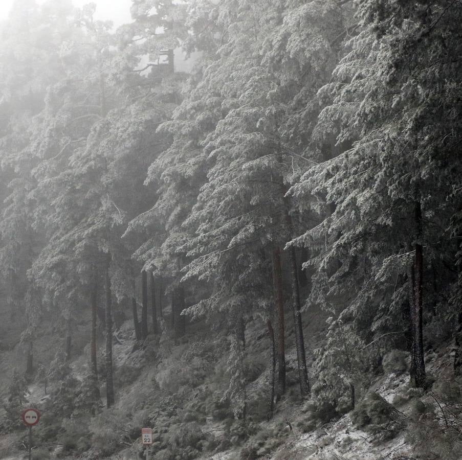 Frío en Segovia y nieve en Navacerrada