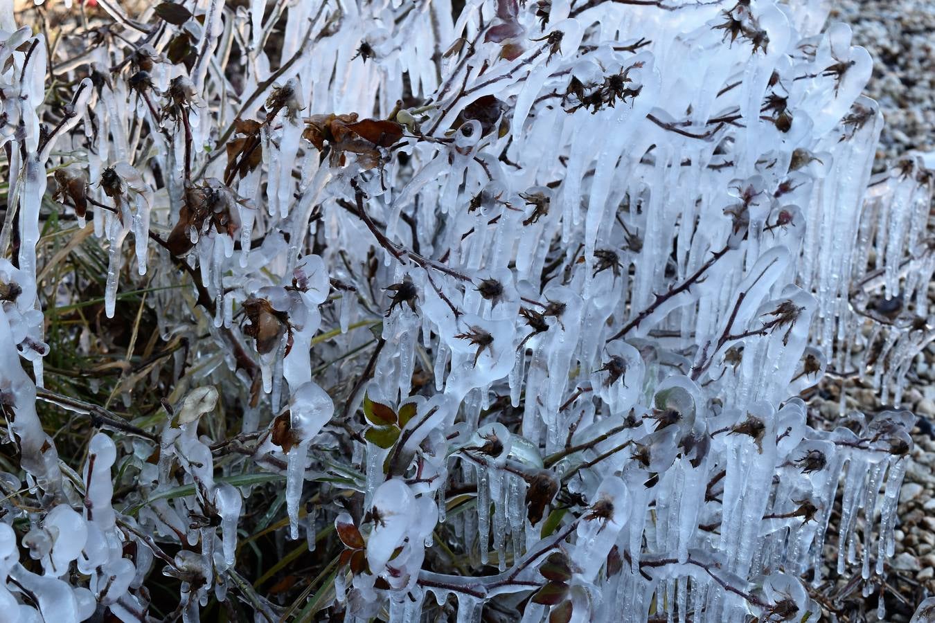 Aguilar de Campoo se congela