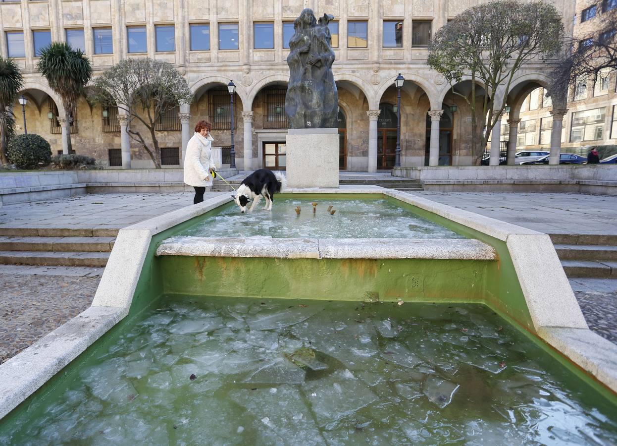 Salamanca amanece a -9º C