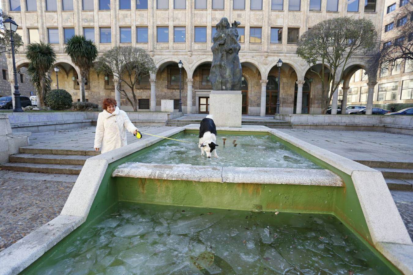 Salamanca amanece a -9º C