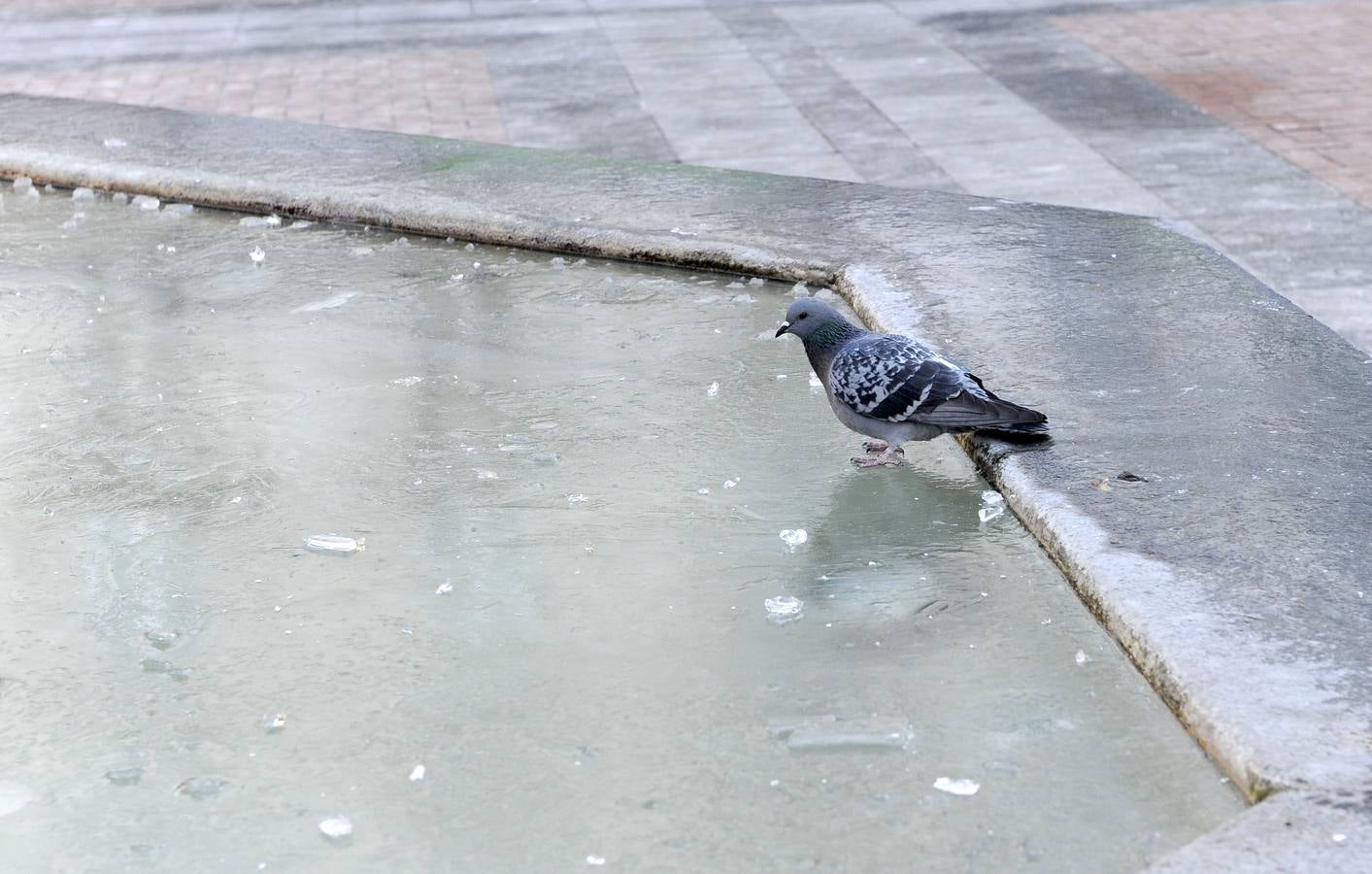 Carámbanos en Fuente Dorada