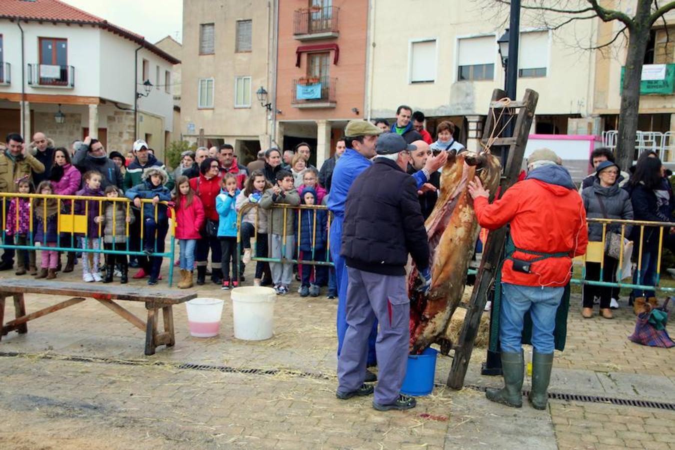 Fiesta de la Matanza en Dueñas