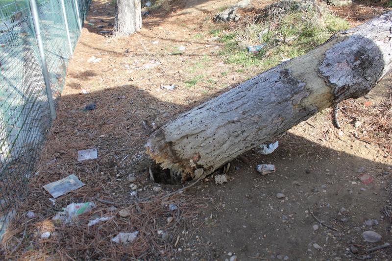 Temporal en Palencia