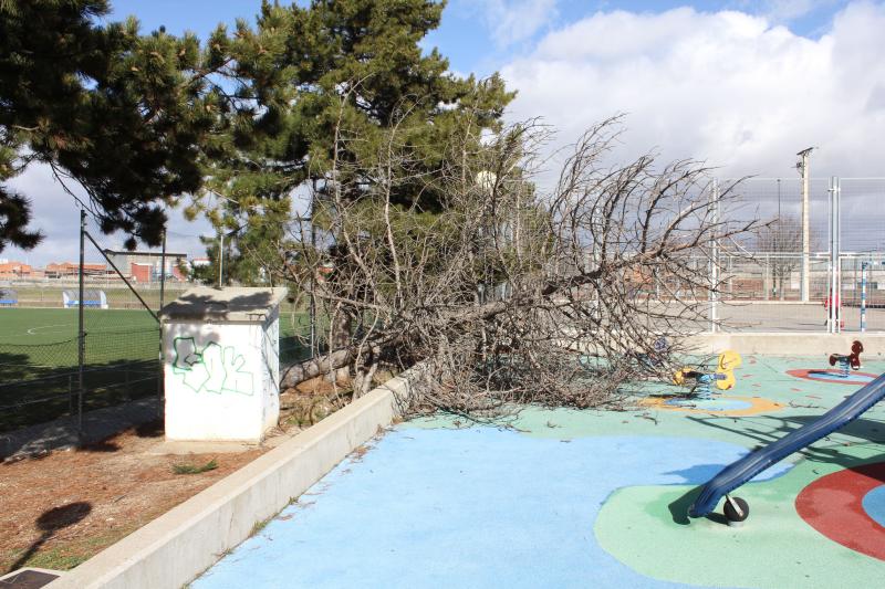 Temporal en Palencia