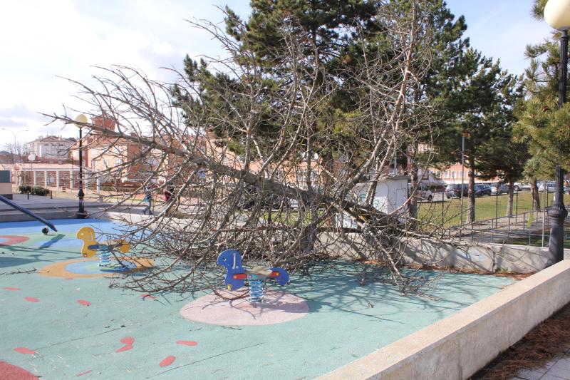 Temporal en Palencia