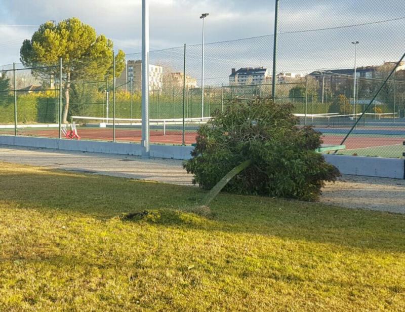 Temporal en Palencia
