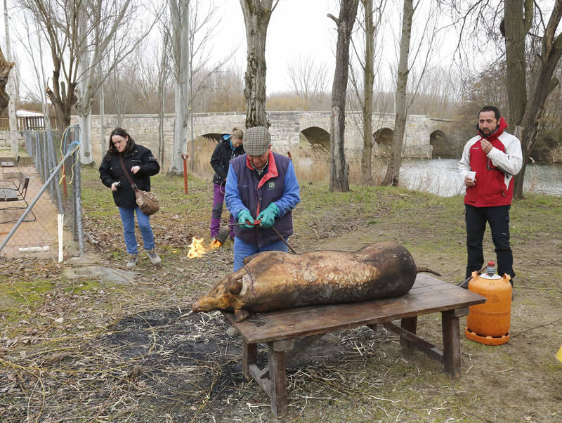 Matanza tradicional en Husillos (Palencia)