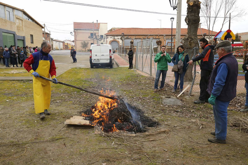 Matanza tradicional en Husillos (Palencia)