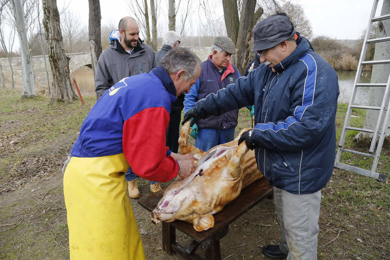 Matanza tradicional en Husillos (Palencia)