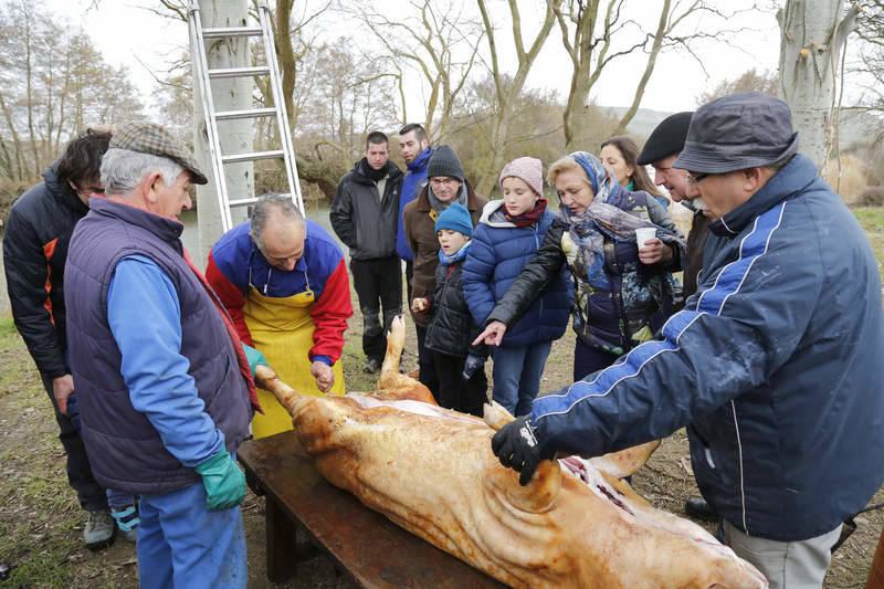 Matanza tradicional en Husillos (Palencia)