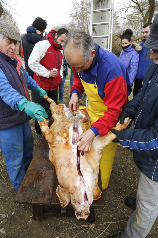 Matanza tradicional en Husillos (Palencia)