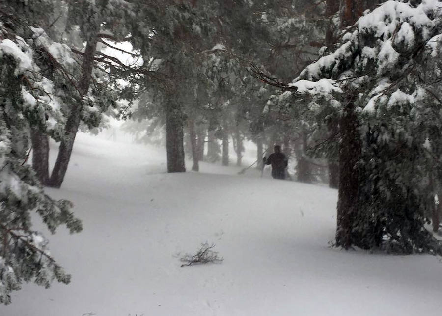 Nieve en Navacerrada (Segovia)
