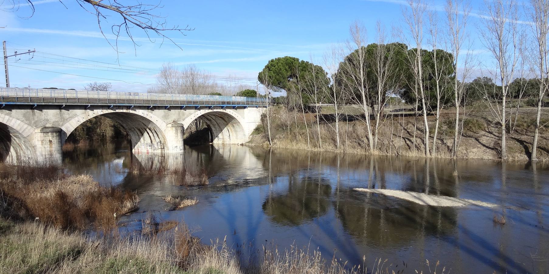 El río Cega a su paso por Viana.