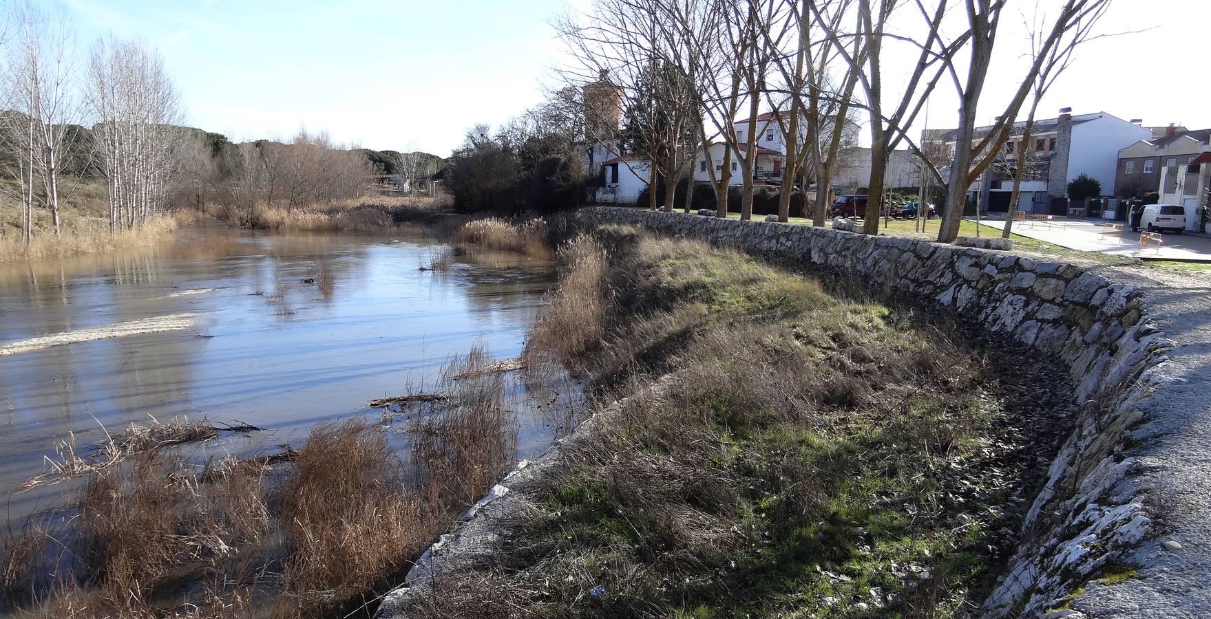 El río Cega a su paso por Viana.
