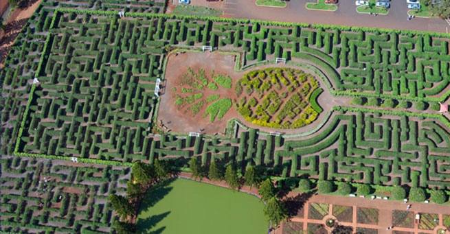 Plantación Dole. Se encuentra en la plantación Dole en Oahu, Hawai.