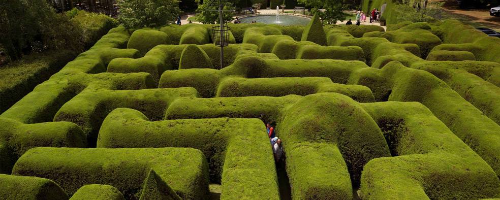 El Ashcombe Maze es el laberinto más antiguo de Australia.