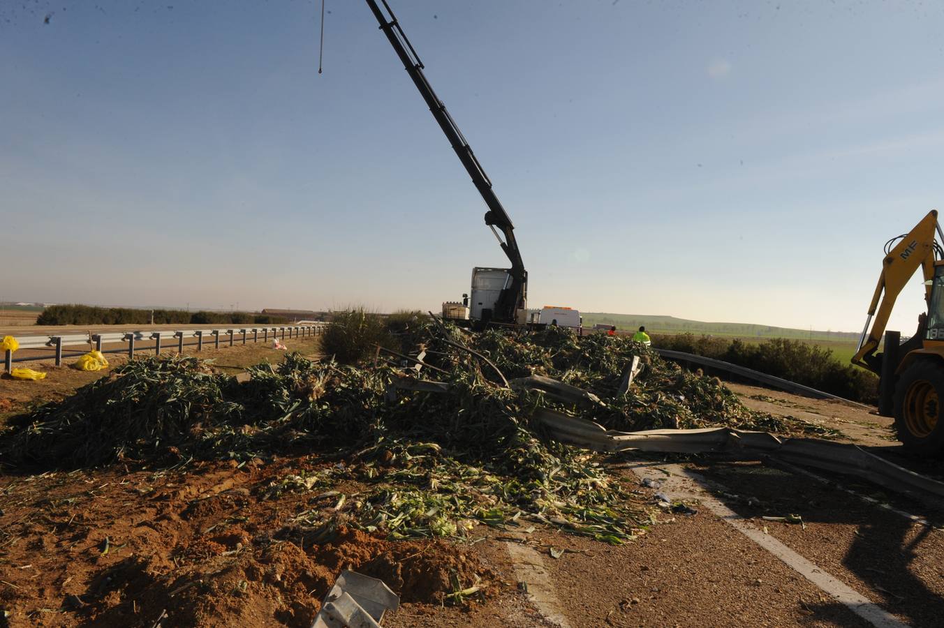 Vuelca un camión cargado de cebollas en la A-62 a la altura de Alaejos