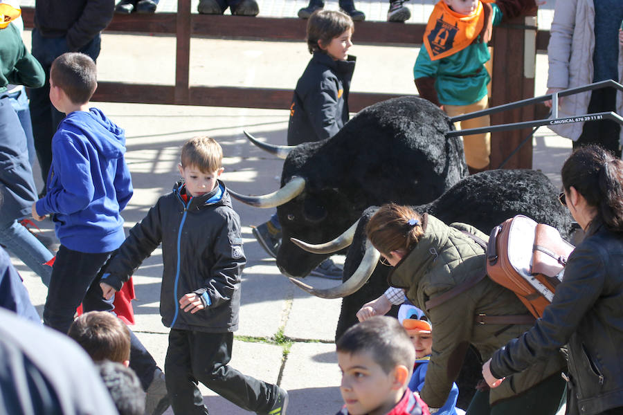 Encierro de carnaval el sábado en Ciudad Rodrigo